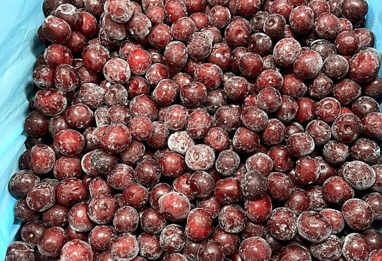 IQF sour cherries, individually quick frozen, pitted