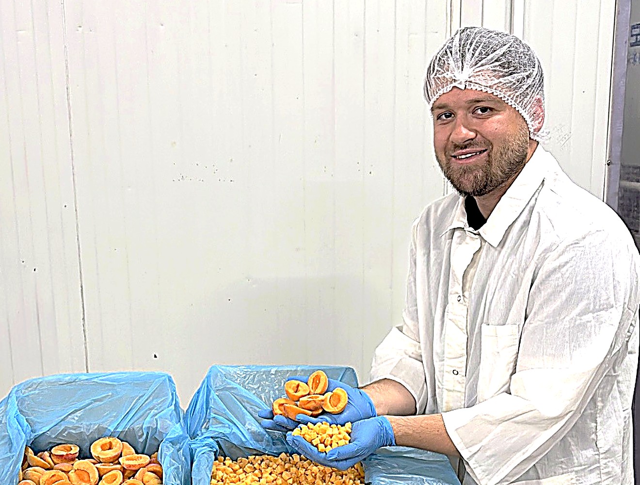 Quality check on the line, apricot halves and dices